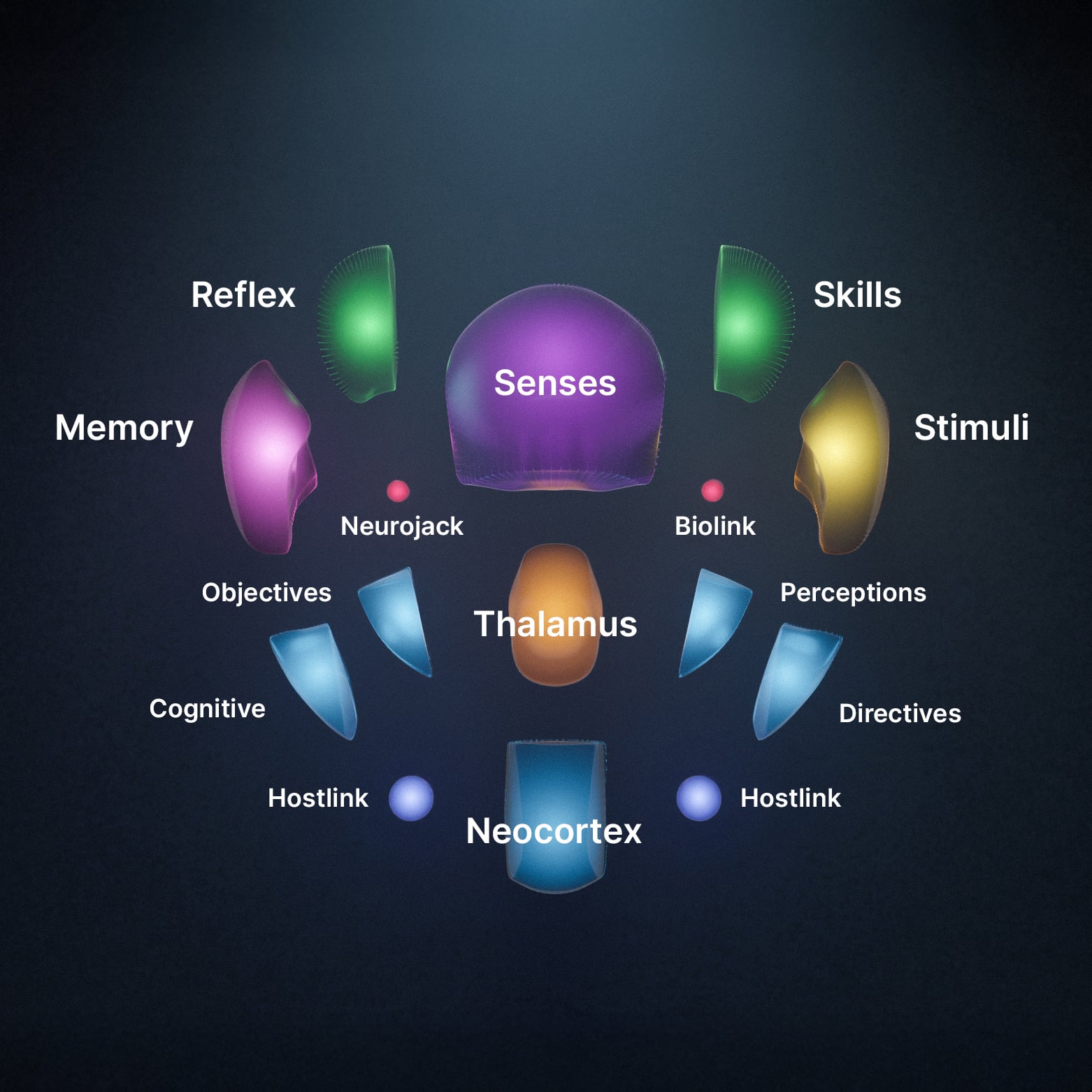 A diagram of brain functions with labeled colored sections: Reflex, Skills, Memory, Senses, Stimuli, Neurojack, Biolink, Objectives, Thalamus, Perceptions, Cognitive, Directives, Hostlink, and Neocortex.